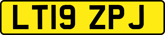 LT19ZPJ