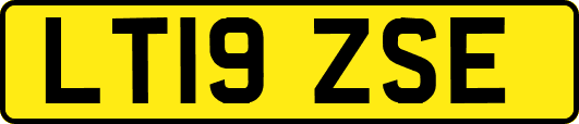 LT19ZSE