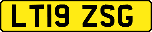 LT19ZSG