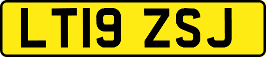 LT19ZSJ