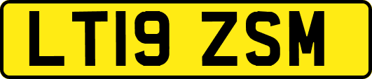 LT19ZSM
