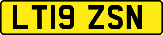 LT19ZSN