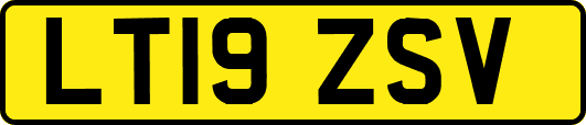 LT19ZSV