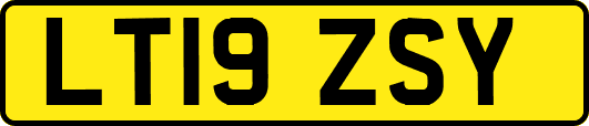 LT19ZSY