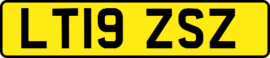LT19ZSZ