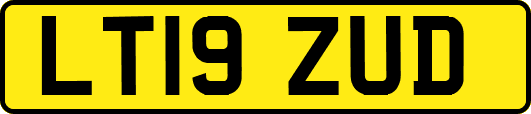 LT19ZUD