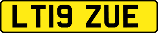 LT19ZUE