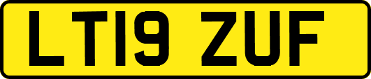 LT19ZUF