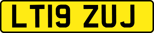 LT19ZUJ