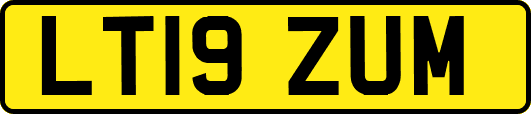 LT19ZUM