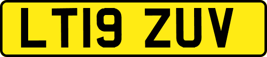 LT19ZUV