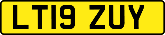 LT19ZUY