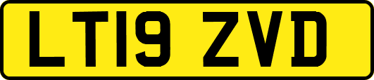 LT19ZVD