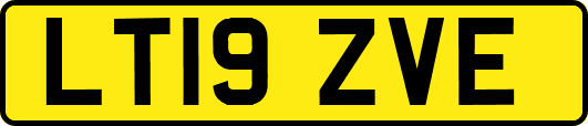 LT19ZVE