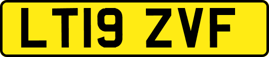 LT19ZVF
