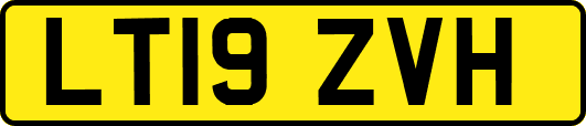 LT19ZVH