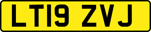 LT19ZVJ