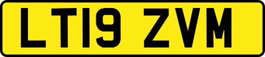 LT19ZVM