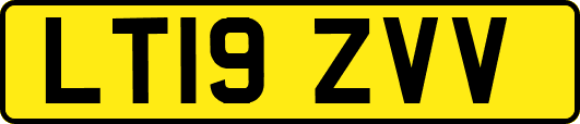 LT19ZVV