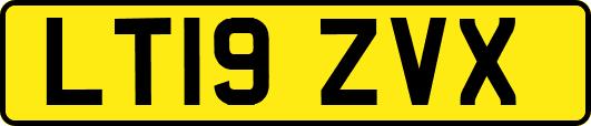 LT19ZVX