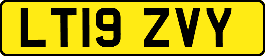 LT19ZVY