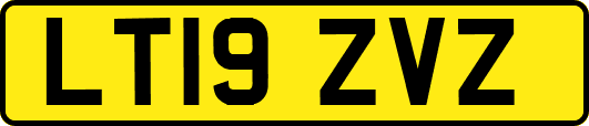 LT19ZVZ