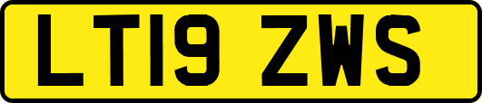 LT19ZWS