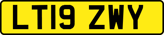 LT19ZWY