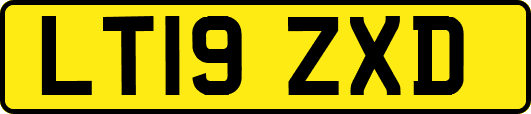 LT19ZXD