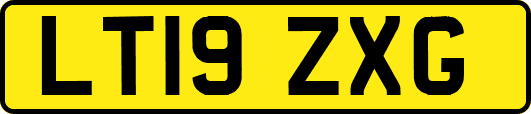 LT19ZXG