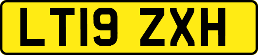 LT19ZXH