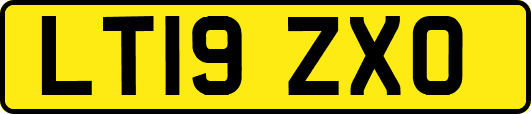 LT19ZXO
