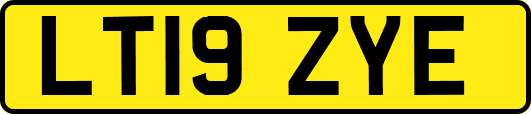 LT19ZYE