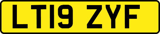 LT19ZYF