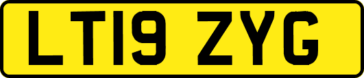 LT19ZYG