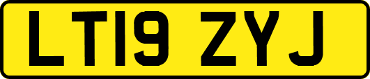 LT19ZYJ