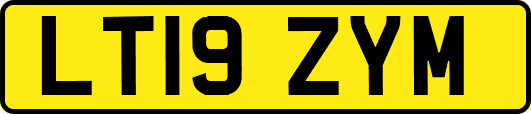 LT19ZYM