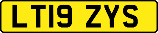 LT19ZYS
