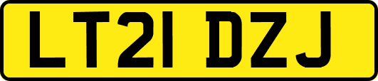 LT21DZJ