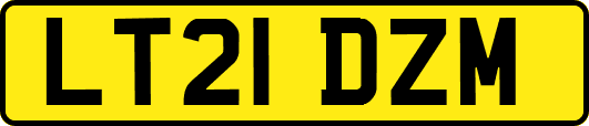 LT21DZM