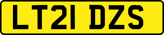 LT21DZS