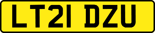 LT21DZU