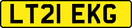 LT21EKG