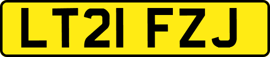 LT21FZJ