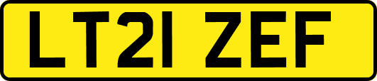 LT21ZEF