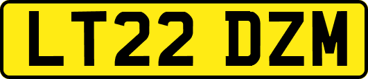 LT22DZM