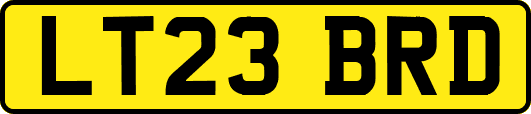 LT23BRD