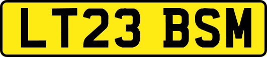LT23BSM