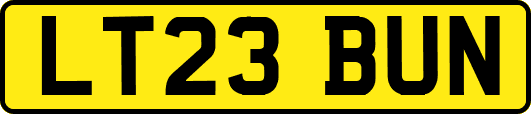 LT23BUN