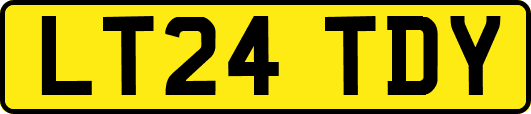LT24TDY